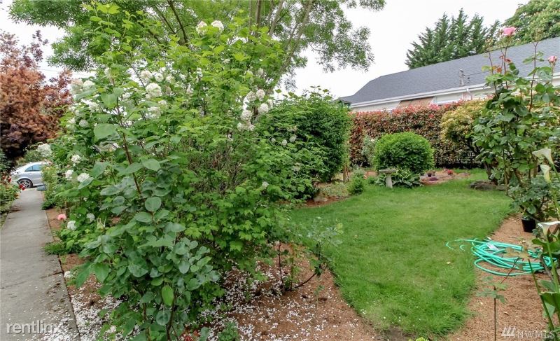 No Caption