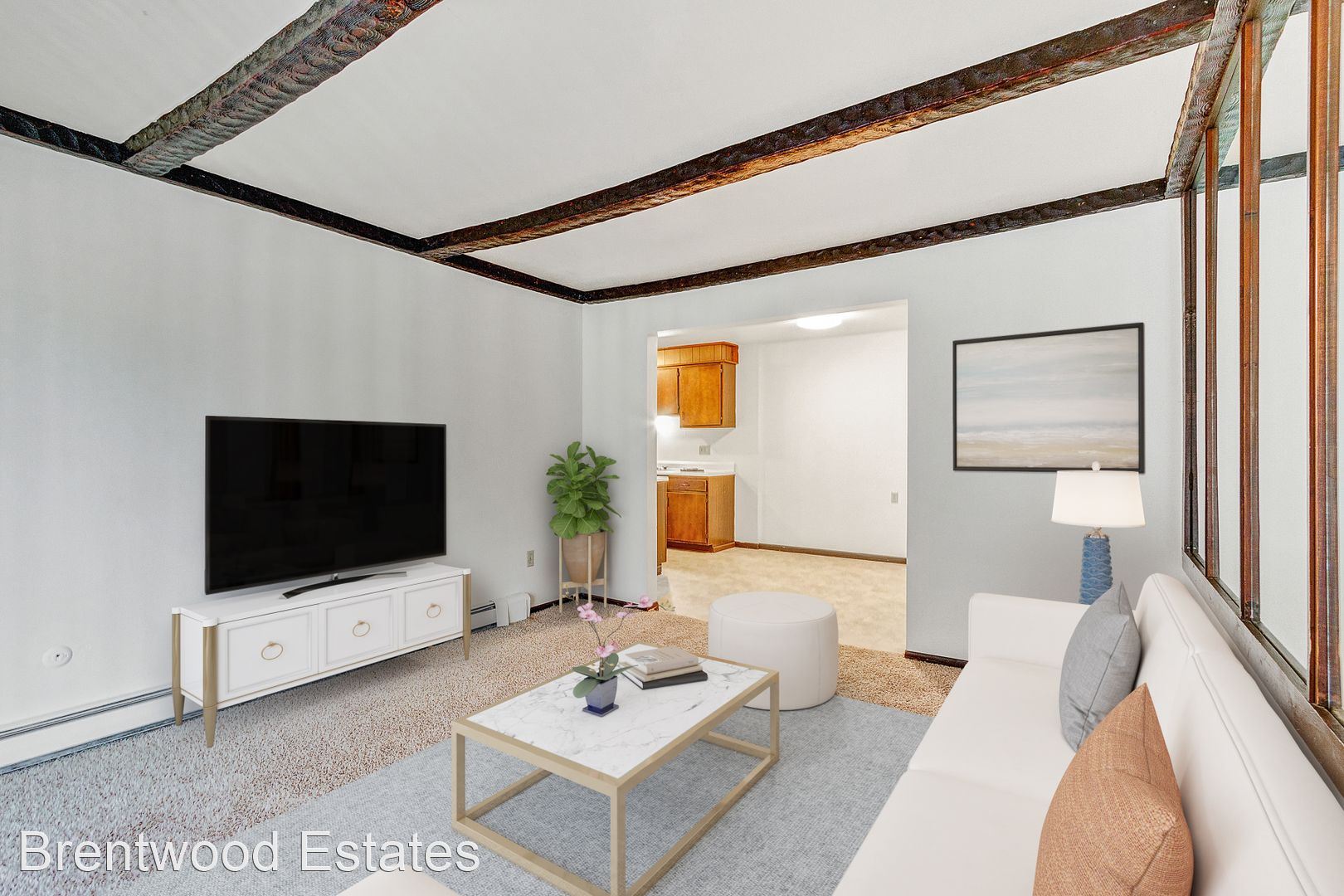 No Caption